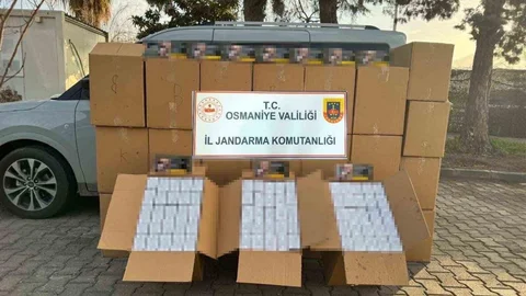 Osmaniye'de Jandarma Operasyonu