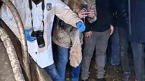 Bartın'da Mezarlıkta Gizemli Paket Bulundu