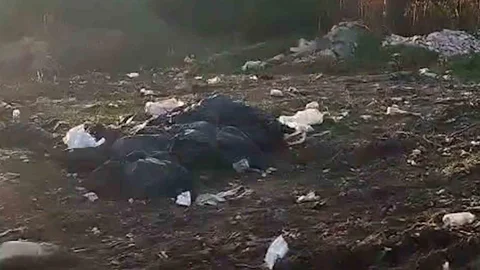 Bolu'da Ormanlık Alan Temizlendi