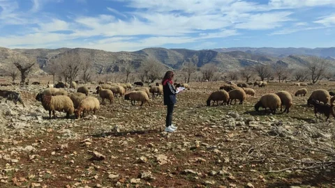 Şırnak'ta Mera Arazi İncelemeleri Devam Ediyor