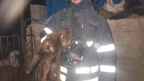 Hatay'da Ahır Yangını Paniği