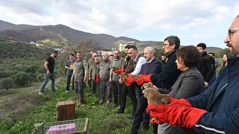 Yırtıcı Kuşlar Hatay'da Özgürlüğe Kavuştu