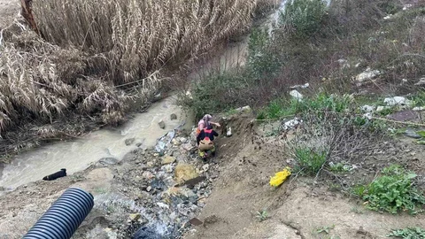 Hatay'da Oğlak Kurtarma Çabası