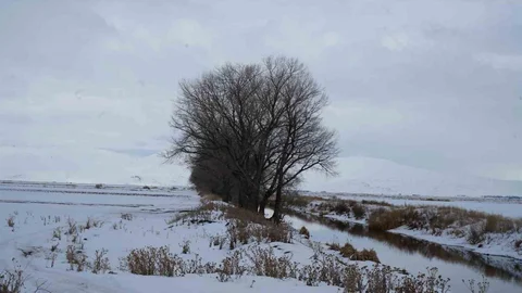 Erzurum'da Kuvvetli Fırtına Bekleniyor