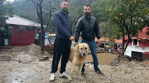 Köpeğini Kurtaran Antalya'dan İlginç Hikaye