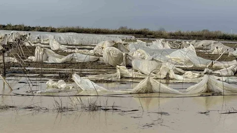 Tarsus'ta Yağmur ve Fırtına Zarar Verdi