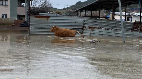 Kula'da Şiddetli Yağışlar Taşkınlara Neden Oldu