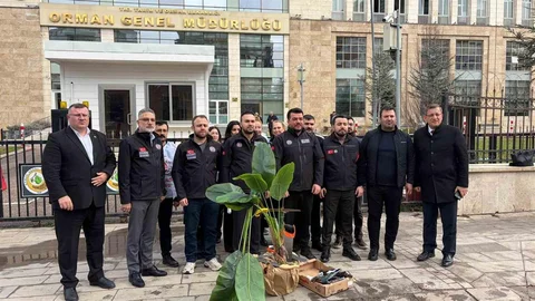 Devlet Memurları Kağıt İsrafı İle İlgili Uyardı