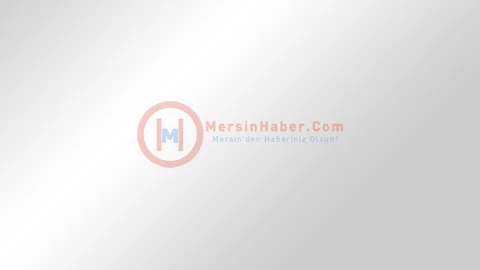 Tufanbeyli'de Kar Yağışı Başladı