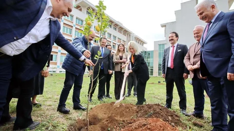 Akdeniz Üniversitesi'nde Ağaç Dikimi Etkinliği