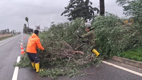 Tarsus-çamlıyayla'da Fırtına Hasarına Hızlı Müdahale: Büyükşehir Ekipleri Su Tahliyesi ve Ağaç Temizliğinde