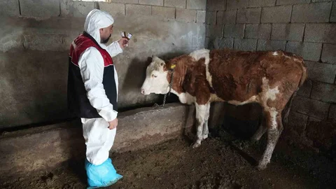 Muş'ta Aşılama Kampanyası Başladı