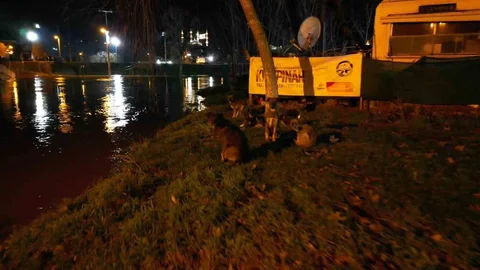 Edirne'de Tunca Nehri Taştı