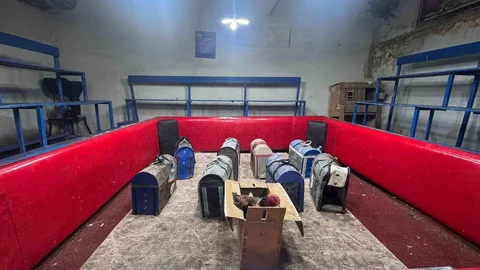 Adana'da Horoz Dövüşü Operasyonu