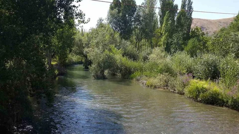 Tohma Çayı’nın Ekolojik Sağlığı Belgelendi