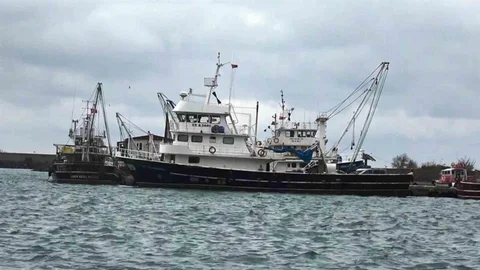 Samsun'da 20 Bin Ton Su ve Hayvansal Ürün İhracatı