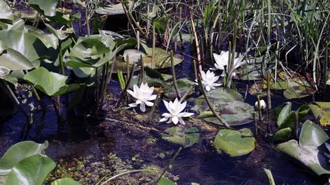 Muğla'dan Kozmetik Sektörüne Ödül