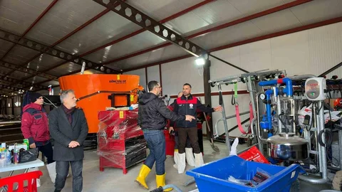 Tunceli'de Küçükbaş İşletmesi Açıldı