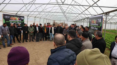 Vezirköprü'de Meyve Fidanı Dağıtımı Yapıldı