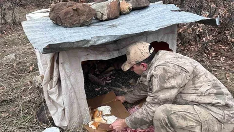 Elazığ'da Jandarma Yavru Köpeklere Sahip Çıktı