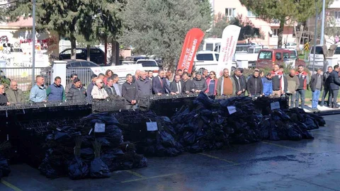 Muğla'da Üzümsü Fidan Dağıtımı
