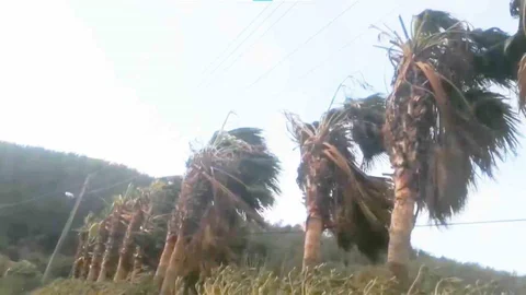 Muğla'da Fırtına Uyarısı Yapıldı