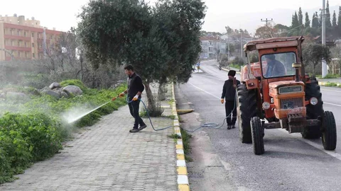 Bozdoğan'da Yabani Ot Mücadelesi