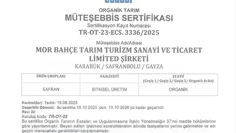 Karabük'te Organik Safran Üretimi Başladı