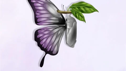 Didim'de Kadın Sağlığı Eğitimi