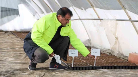 Diyarbakır'da Ücretsiz Fide Dağıtımı