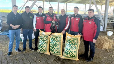 Ezine'de Yetiştiricilere Yem Desteği