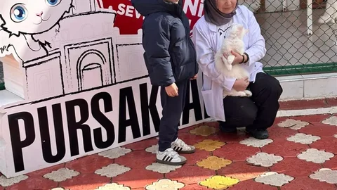 Pursaklar'da Öğrencilerden Kedi Evi Ziyareti
