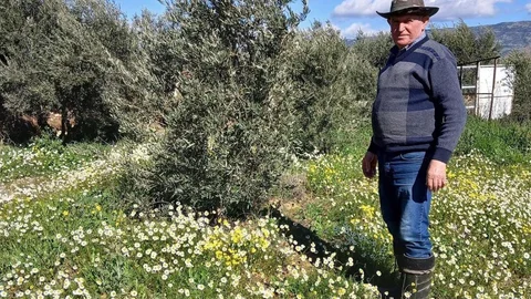 Sarıgöl'de Bahar Havası Hissediliyor