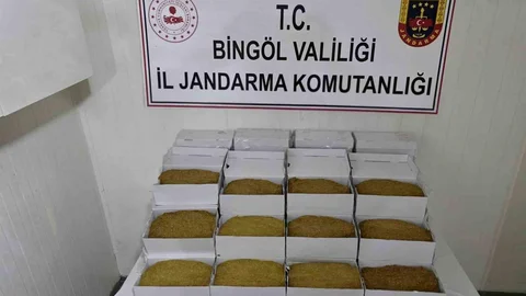 Bingöl'de 6 Şüpheli Yakalandı