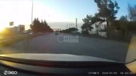 Toroslar’da Sürücüden Muhteşem Refleks: Köpeğe Çarpmamak İçin Ani Manevra Yaptı, Kıl Payı Kurtuldu