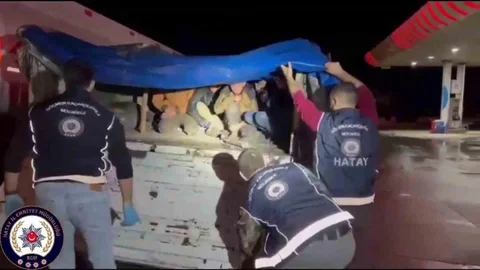 Hatay'da 12 Kaçak Göçmen Yakalandı