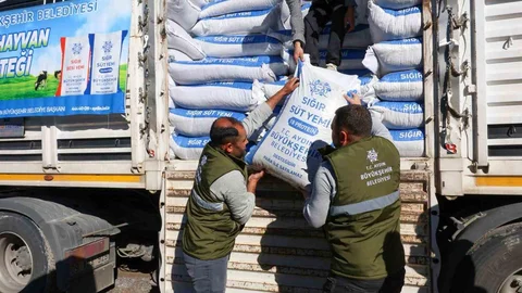 Aydın'da Üreticilere Yem Desteği