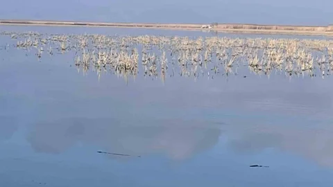 Her Damlanın Eber Gölü'ne Ulaşması İçin Mücadele