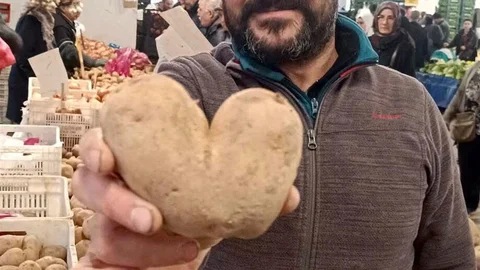 Manisa'da Kalp Şeklinde Patates Bulundu