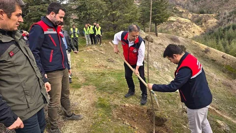 Afyonkarahisar'da Kestane Fidanı Dikimi Yapıldı