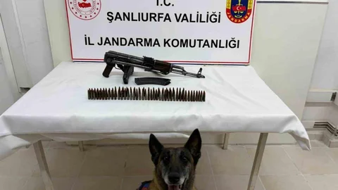 Şanlıurfa'da Uzun Namlulu Silah Ele Geçirildi