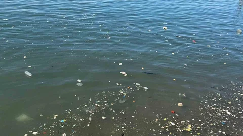 Zonguldak'ta Çevre Kirliliği Tepkisi