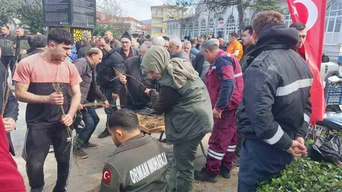 Sakarya’da Meyve Fide Dağıtımı Yapıldı