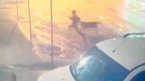 Adıyaman'da Köpek Saldırısı