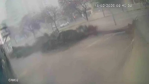 Adana'da Fırtına Ağaçları Devrildi