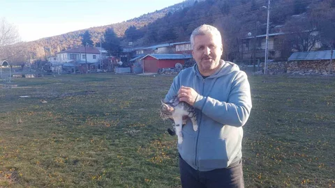 Konya'da Kedilere Yardım Eli Uzandı