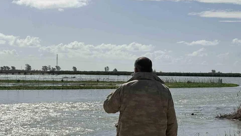 Mersin'de Seyhan Nehri Taşması