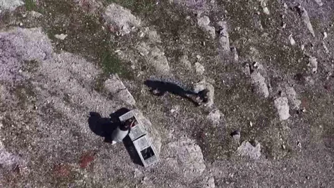 Şırnak'ta Kınalı Keklikler Doğaya Salındı