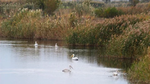 Söke Ovası Antik Dönemdeki Deniz Görünümüne Dönüyor