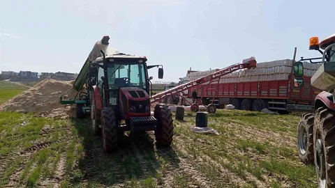 Siirt'te Silahla Oynama Kazası